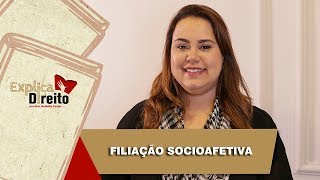 Explica Direito Filiação Socioafetiva  2019 [upl. by Annitsirhc992]