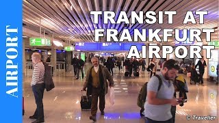 TRANSIT WALK AT FRANKFURT Airport FRA Terminal 1  Connection Flight Transfer Arriving amp Departing [upl. by Sorvats]